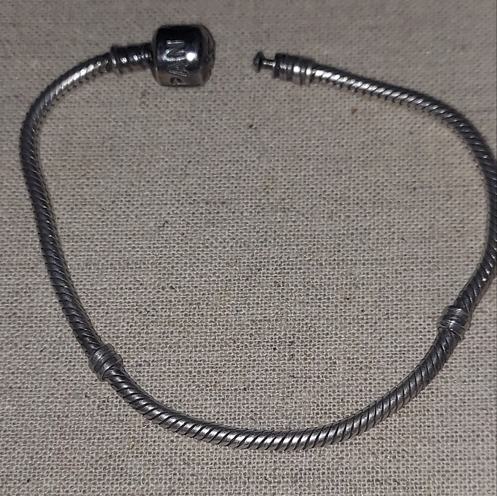 Pandora Bracelet